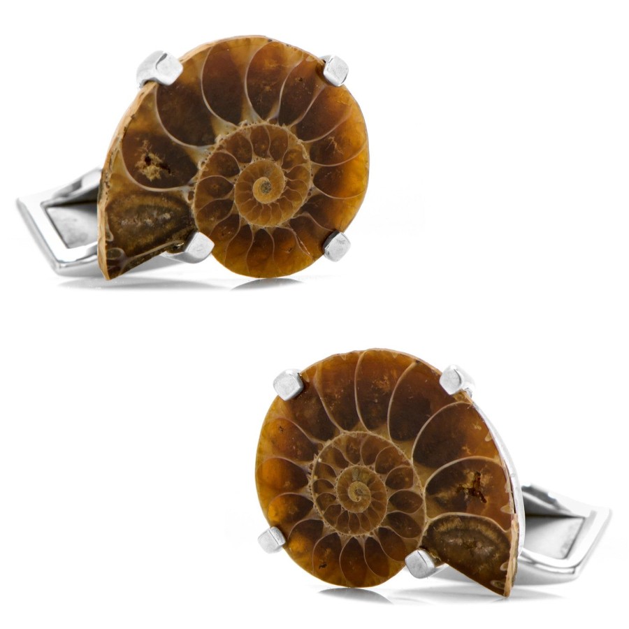 Spivey Small Madagascar Ammonite Shell Cufflinks | Classic Cufflinks