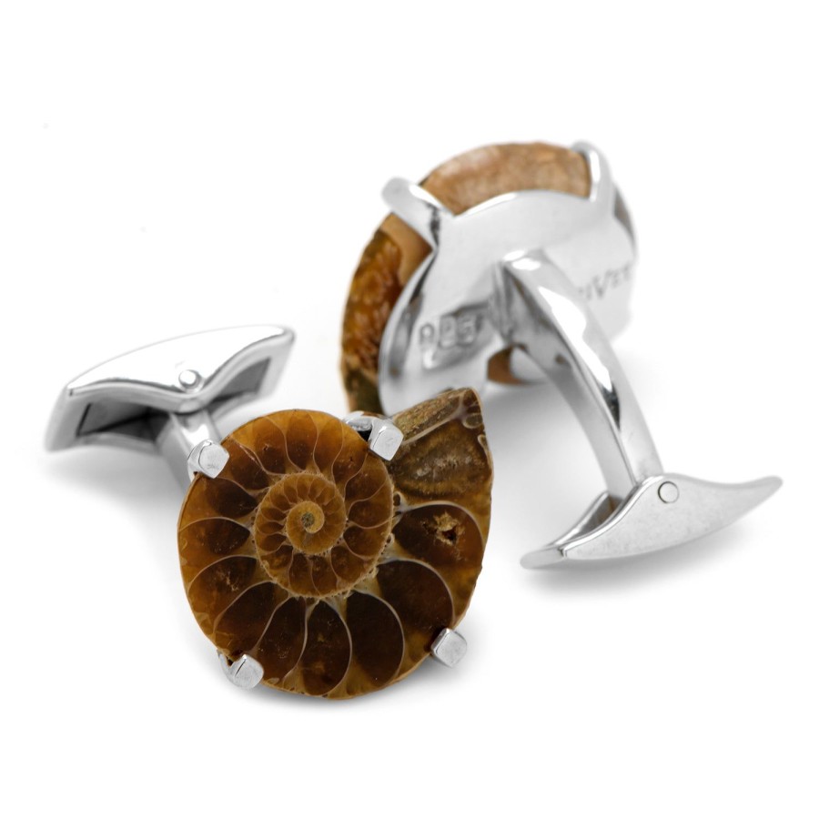 Spivey Small Madagascar Ammonite Shell Cufflinks | Classic Cufflinks